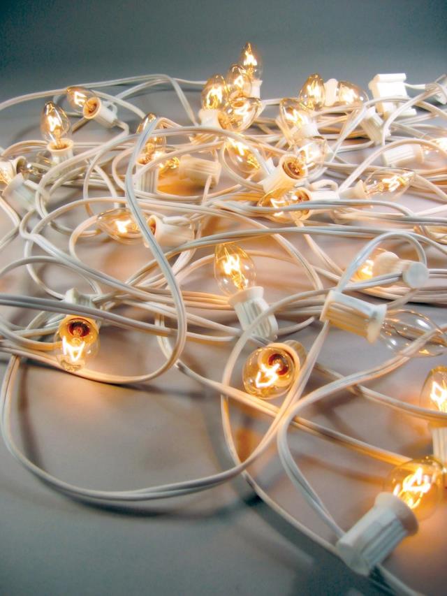 Rental store for __String of Mini-lights -  30 in St. Petersburg FL
